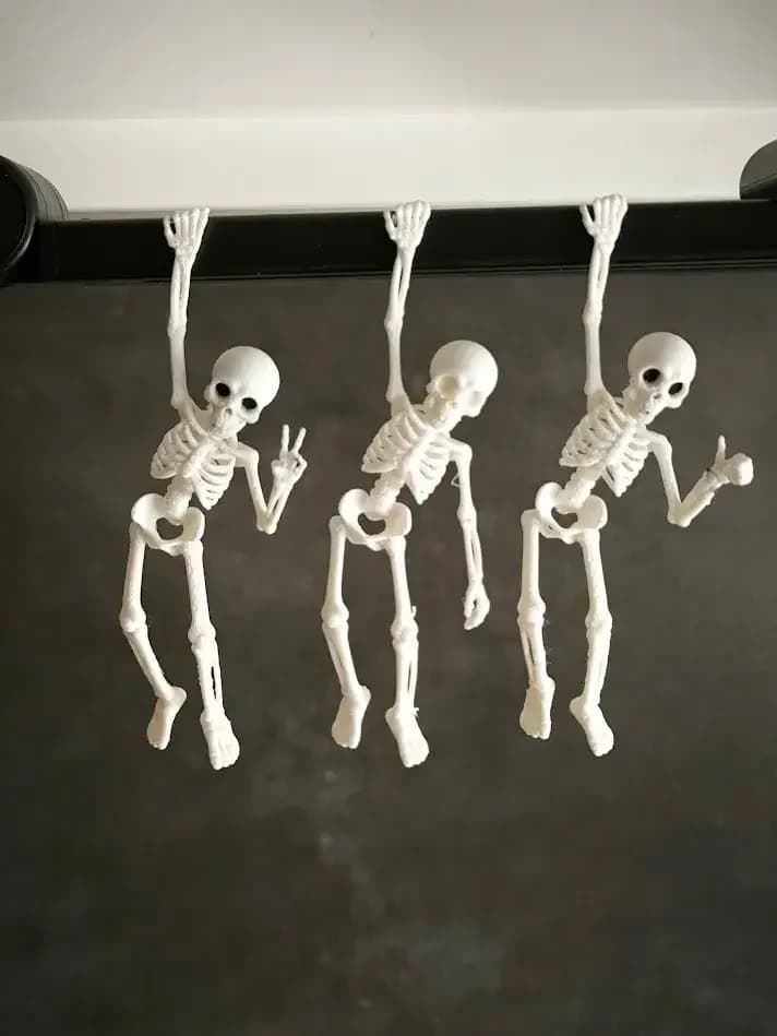 Set de esqueletos
